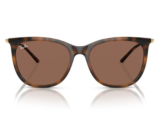ÓCULOS DE SOL RAY BAN RB4403L 668873