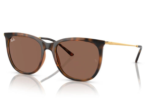 ÓCULOS DE SOL RAY BAN RB4403L 668873