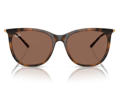 ÓCULOS DE SOL RAY BAN RB4403L 668873